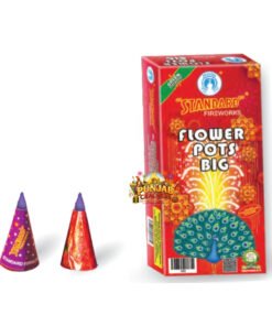 Flower Pots Big