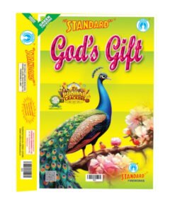 God's Gift