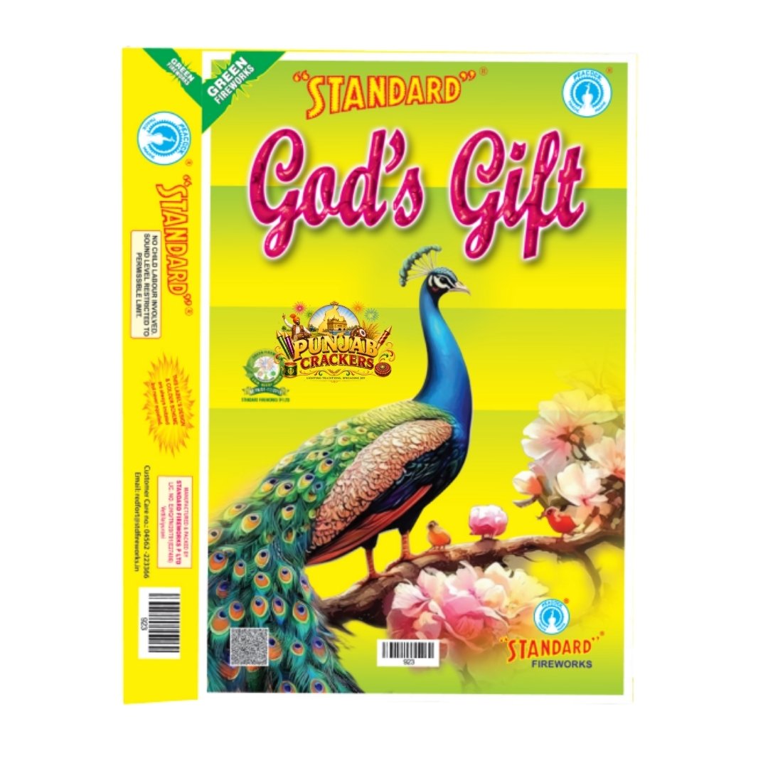 God's Gift