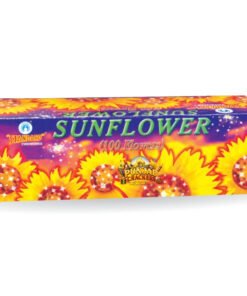 Sun Flower