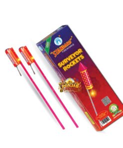 Surveyor Rockets